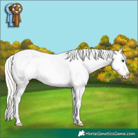 Horse Color:Liver Chestnut Mushroom Snowflake Varnish