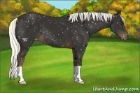 Horse Color:Liver Chestnut Mushroom Snowflake Varnish 