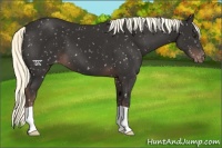 Horse Color:Liver Chestnut Mushroom Snowflake Varnish