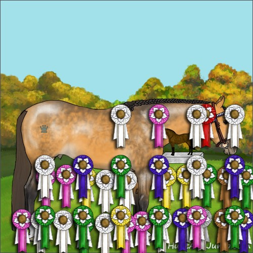 Horse Color:Buckskin 