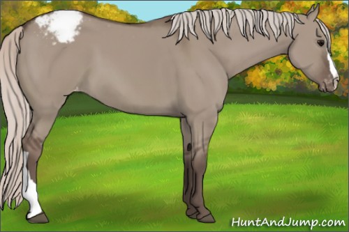 Horse Color:Silver Grullo Snowcap