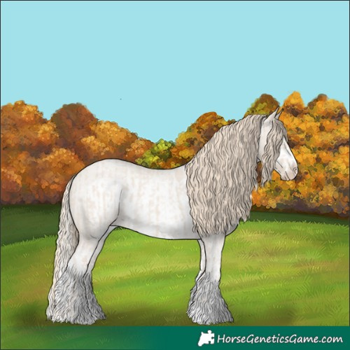Horse Color:Smoky Creme Roan Sabino Splash  and Smoky Creme Roan Sabino Splash Frame 