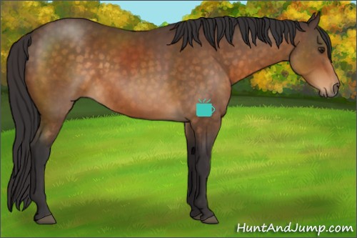 Horse Color:Buckskin Sabino