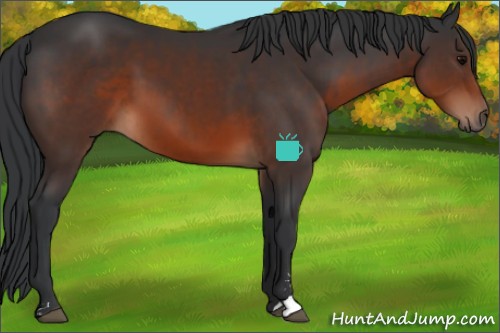 Horse Color:Brown Sabino