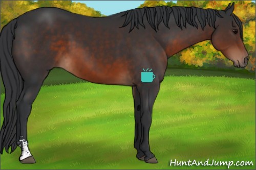 Horse Color:Brown Sabino