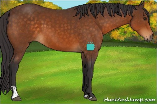 Horse Color:Buckskin Sabino