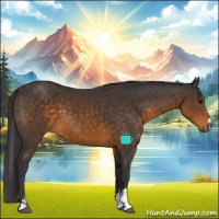 Horse Color:Buckskin Sabino 