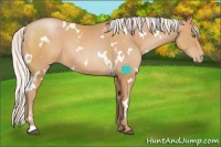 Horse Color:White Spotted Silver Bay Pearl 