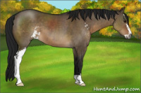 Horse Color:Gray Brown Dun Sabino 