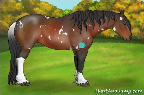 Horse Color:White Spotted Brown Tobiano Rabicano