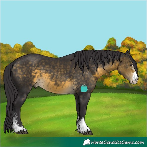 Horse Color:Buckskin Sabino 