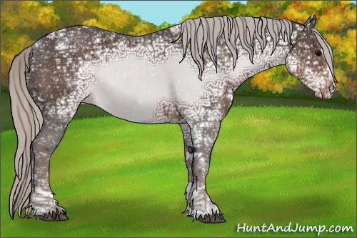 Horse Color:Silver Black Ice Sabino