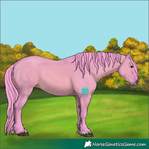 Horse Color:Watercolor Bay Dun 