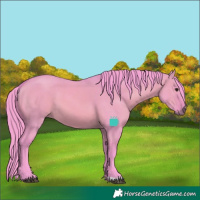 Horse Color:Watercolor Bay Dun 