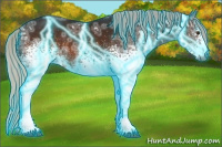 Horse Color:Gray Thunderstruck White Spotted Silver Buckskin Ice 