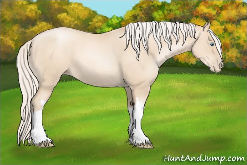 Horse Color:Gold Cream Champagne Pearl 