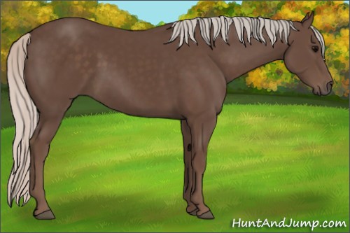 Horse Color:Silver Black 