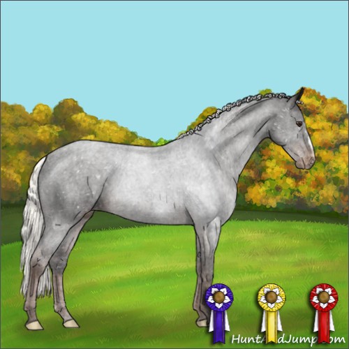 Horse Color:Liver Chestnut Mushroom Appaloosa 