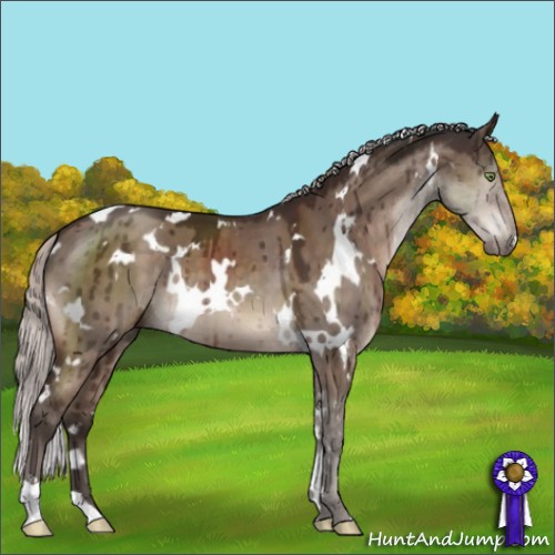 Horse Color:White Spotted Silver Brown Dun Mushroom Brindle 