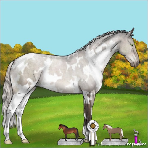 Horse Color:White Spotted Silver Brown Dun Mushroom 