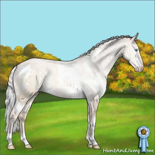 Horse Color:White Spotted Silver Perlino Dun Mushroom Brindle