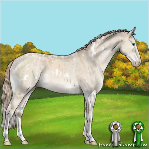 Horse Color:White Spotted Perlino Dun Mushroom Brindle 