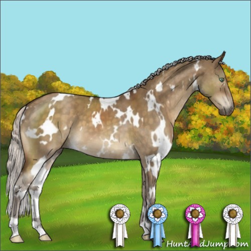 Horse Color:White Spotted Silver Buckskin Dun Mushroom Brindle 