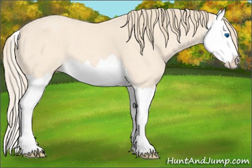 Horse Color:Perlino Roan Splash 