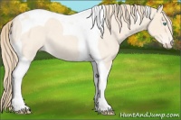 Horse Color:Perlino Roan Tobiano 