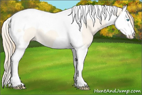 Horse Color:Perlino Roan Dun Splash Tobiano 