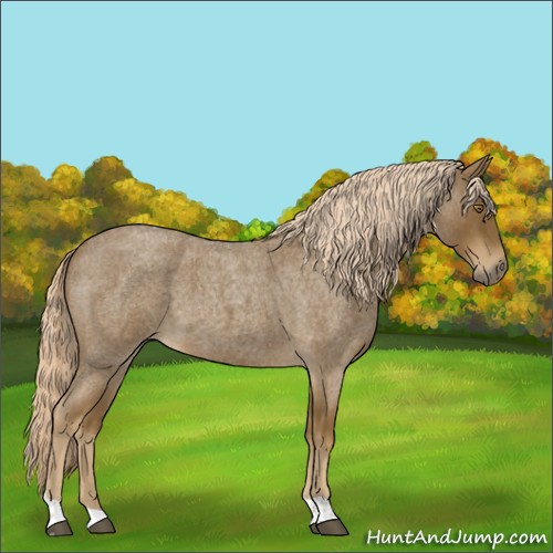 Horse Color:Chocolate Palomino Roan Tobiano