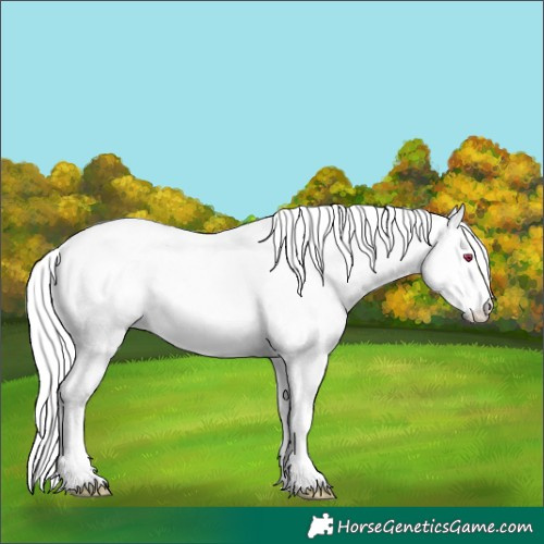 Horse Color:Chestnut Chinchilla Tobiano 