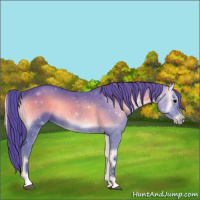 Horse Color:Watercolor Blue Onyx 