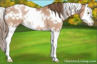 Horse Color:White Spotted Brown Roan Pearl Splash 