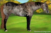 Horse Color:Void Red Onyx Ice Pearl Sabino Tobiano Rabicano 