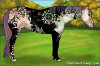 Horse Color:Void Painted Gold Champagne Onyx Tobiano