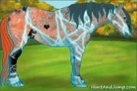 Horse Color:Void Thunderstruck Bay Ice Sabino 