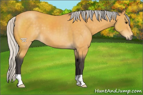 Horse Color:Silver Buckskin