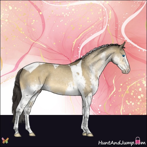 Horse Color:Buckskin Sabino Splash Tobiano 