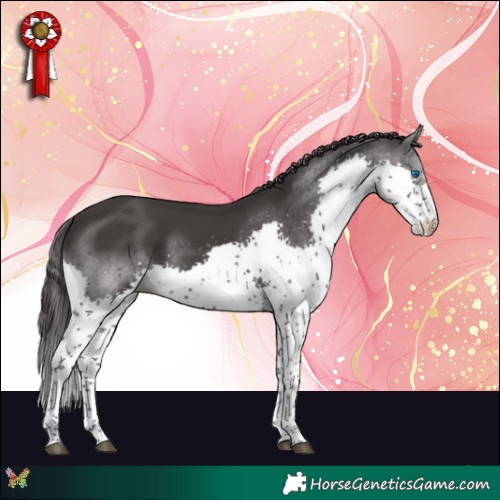 Horse Color:Smoky Black Splash Tobiano 
