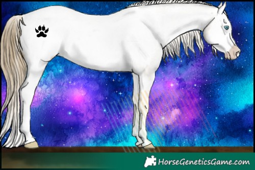 Horse Color:Buckskin Roan Pearl Sabino Splash Near Fewspot