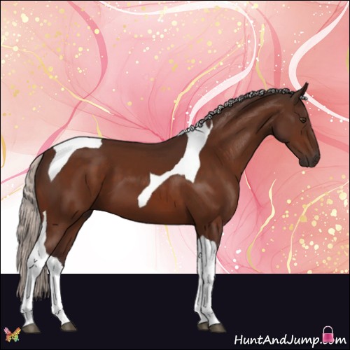 Horse Color:Silver Brown Tobiano 
