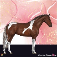 Horse Color:Silver Brown Tobiano 