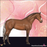Horse Color:Silver Bay 