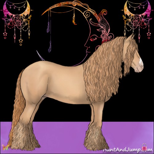 Horse Color:Gold Champagne 