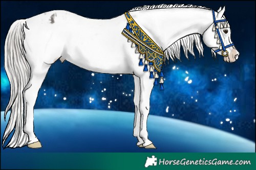 Horse Color:Silver Brown Dun Snowflake Varnish 