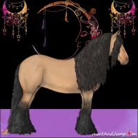 Horse Color:Bay Dun