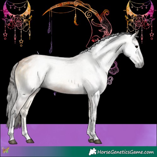 Horse Color:Gray Buckskin Onyx Sabino Rabicano 