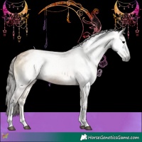 Horse Color:Gray Buckskin Onyx Sabino Rabicano