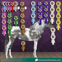 Horse Color:White Spotted Grullo Tobiano Rabicano